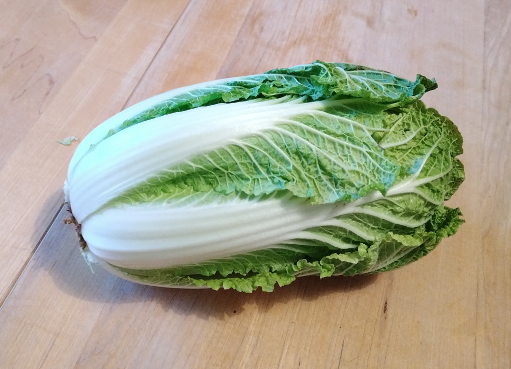 CHOU CHINOIS Pé-tsaï